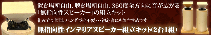 無指向性インテリアスピーカー組立キット(2台1組)/WP-SP082MS